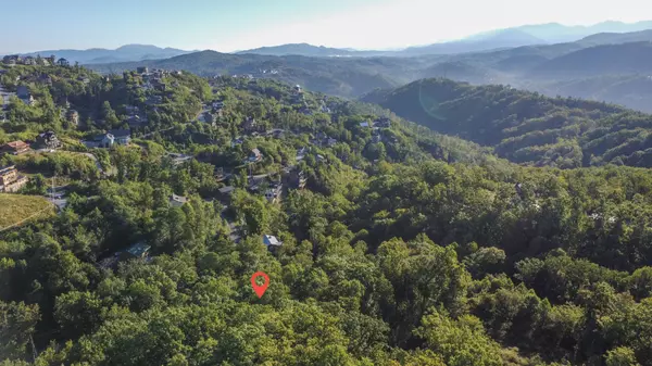 Gatlinburg, TN 37738,0 Twin Oaks Rd