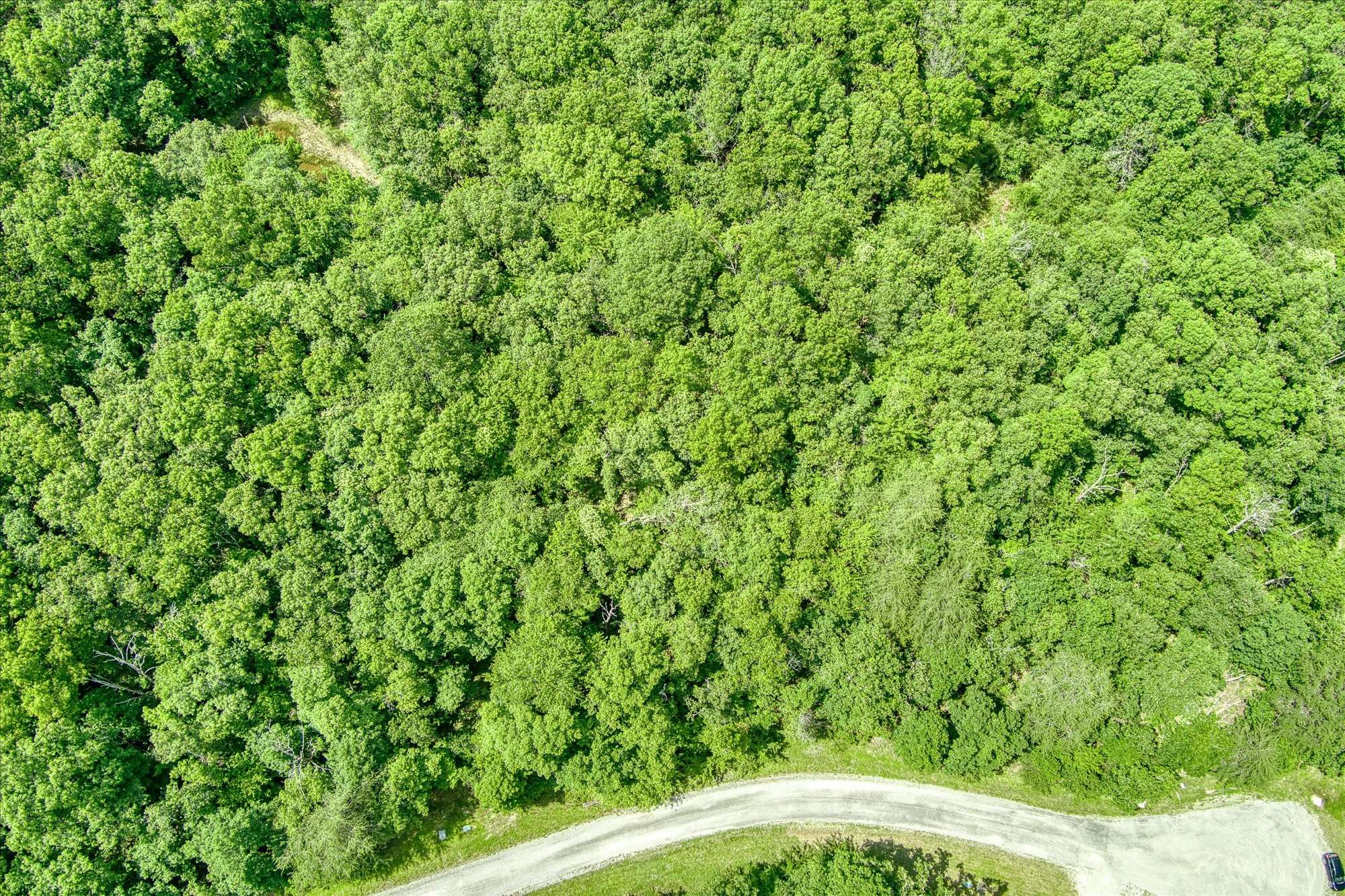 Spencer, TN 38585,0 Hemlock Lane