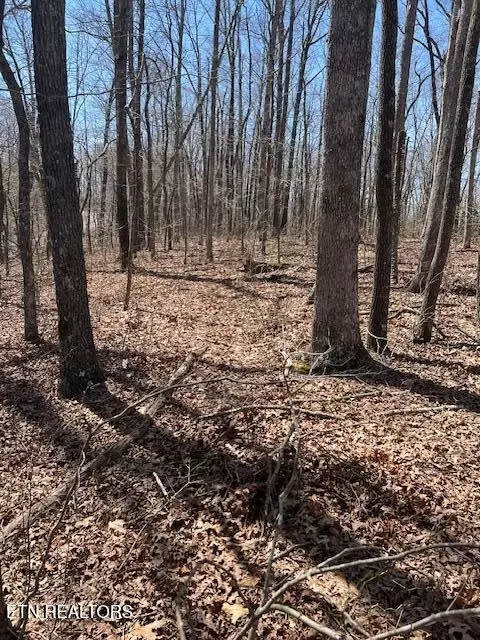 Monterey, TN 38574,0 Street Place Loop