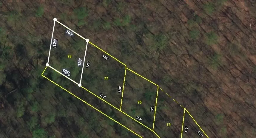 0 SCOTT CANYON RD, Smithville, TN 37166
