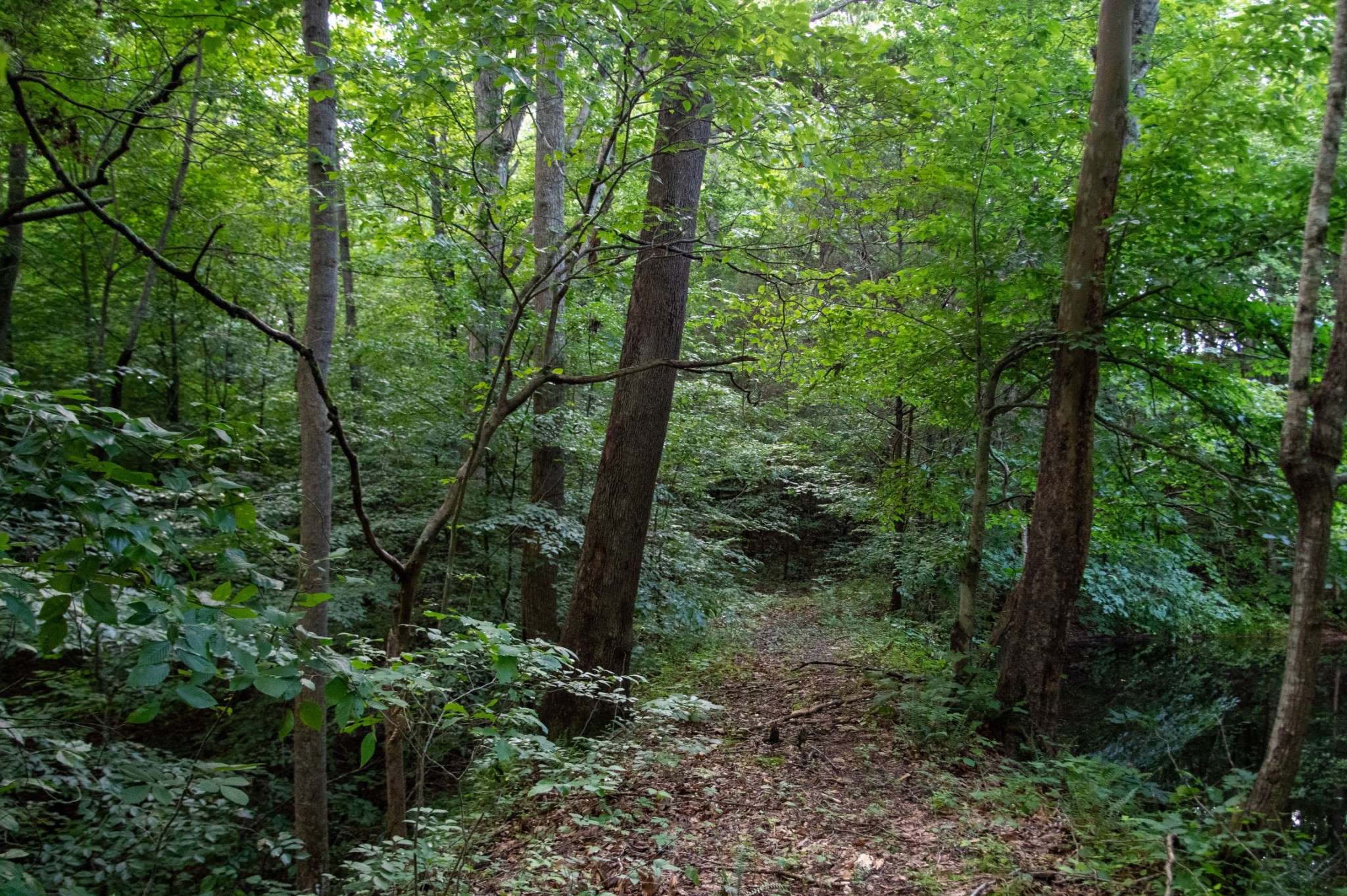 Westmoreland, TN 37186,1137 Poplar Grove Rd