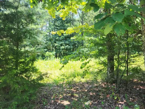 Holladay, TN 38341,3 Strawberry Gables