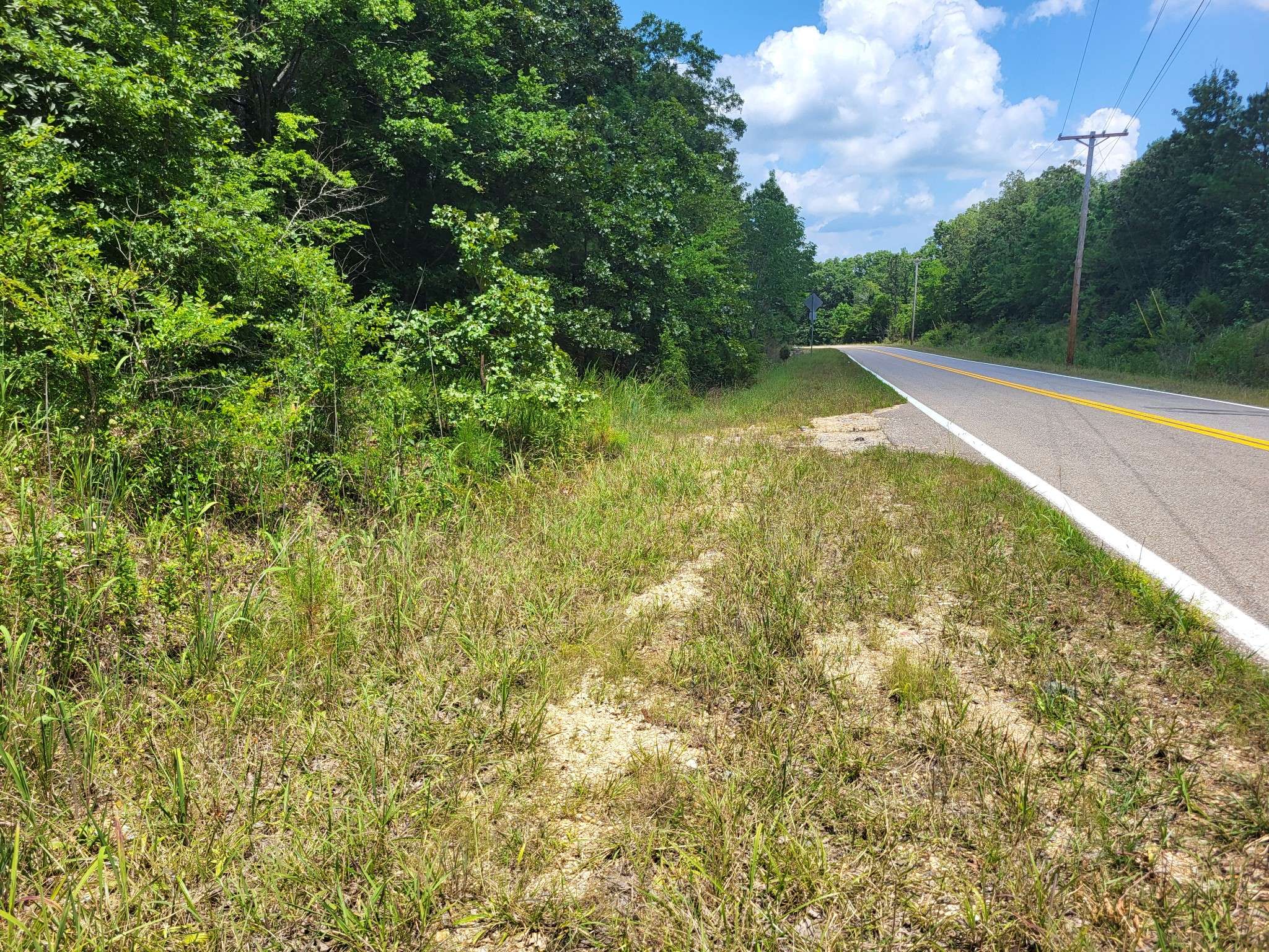 Holladay, TN 38341,8 Birdsong Rd