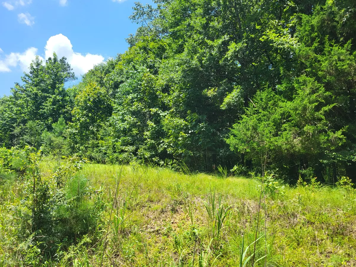 Holladay, TN 38341,8 Birdsong Rd