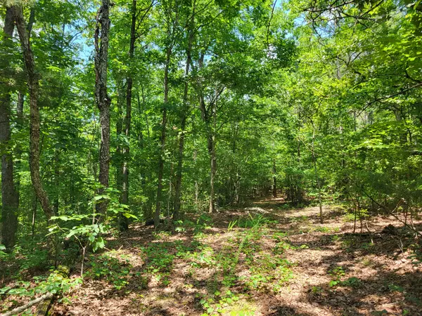 Holladay, TN 38341,8 Birdsong Rd