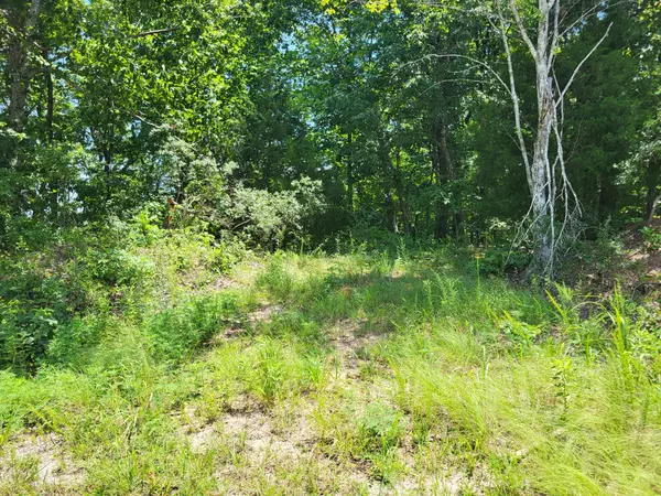 Holladay, TN 38341,9 Birdsong Rd