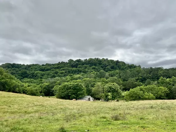 Cornersville, TN 37047,0 Cornersville Access Rd