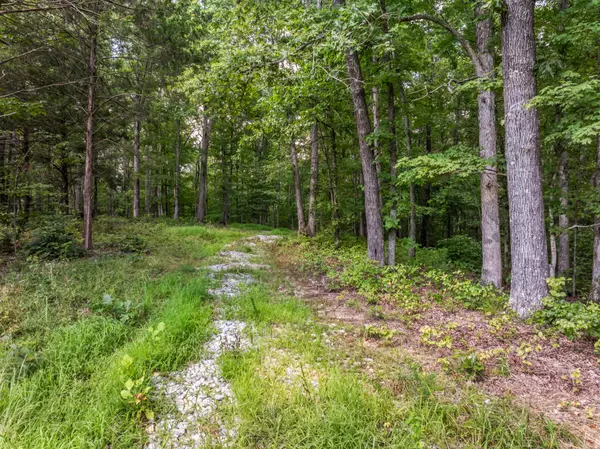 Nunnelly, TN 37137,0 Highway 230 #W