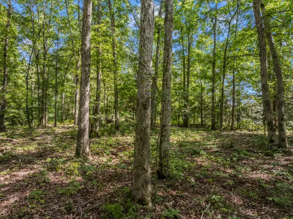 Nunnelly, TN 37137,0 Highway 230 #W