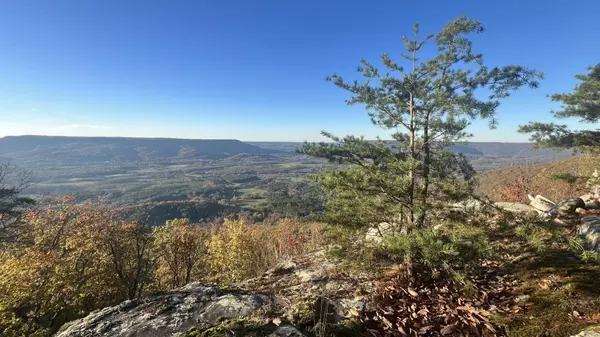 Menlo, GA 30731,0 Tatum Gulf Road