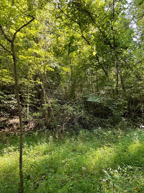 Bybee, TN 37713,1490 Bruner Grove Rd