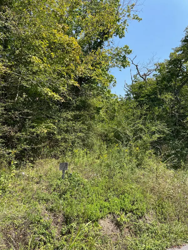 Bybee, TN 37713,1490 Bruner Grove Rd