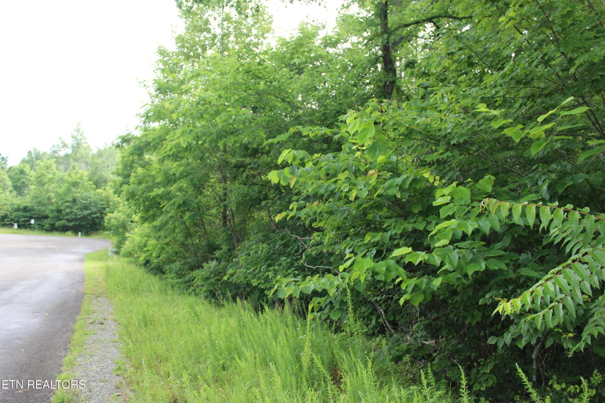 0 Graphite Court, New Tazewell, TN 37825