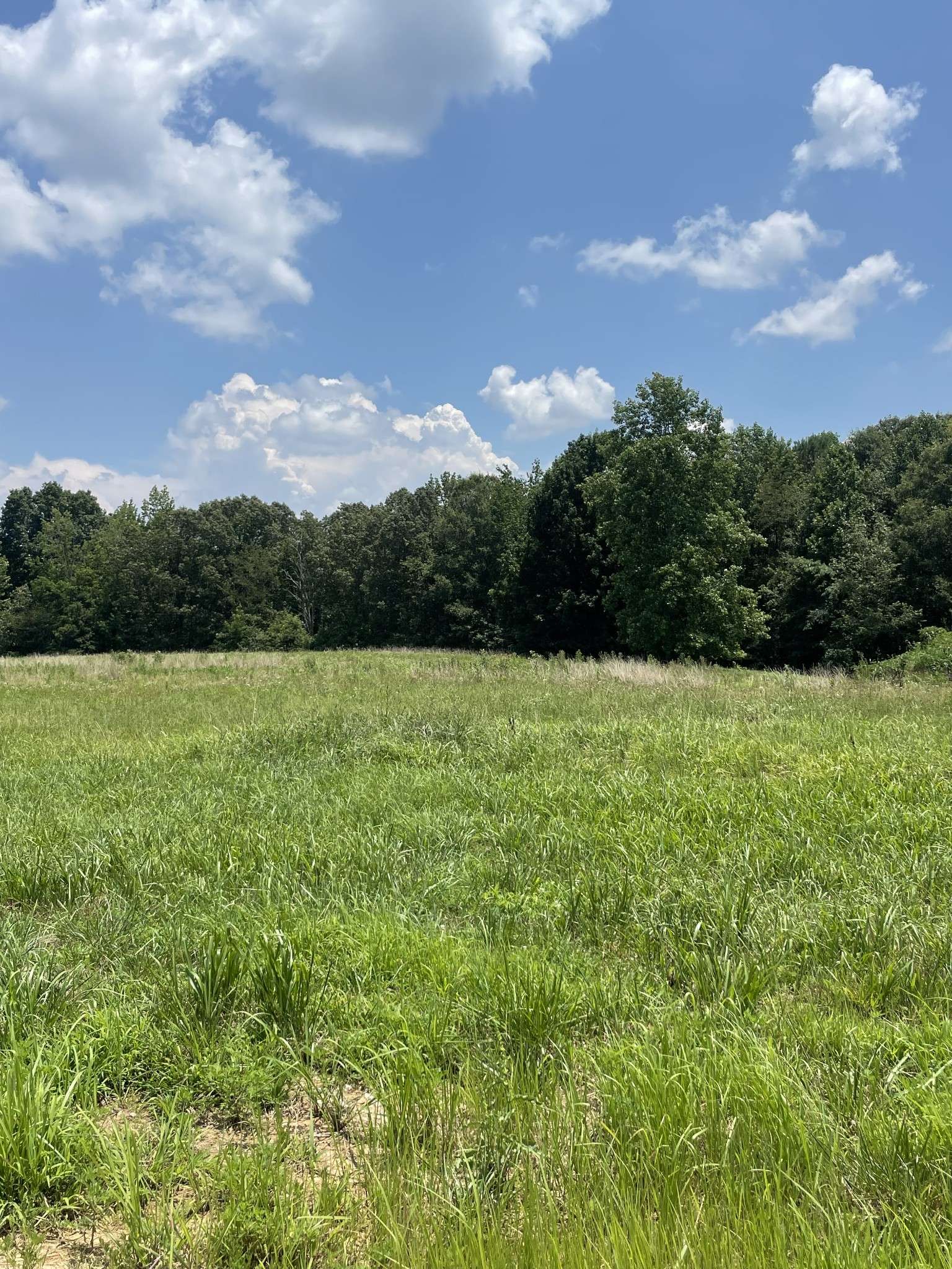 0 Summerlake Ct, Winchester, TN 37398