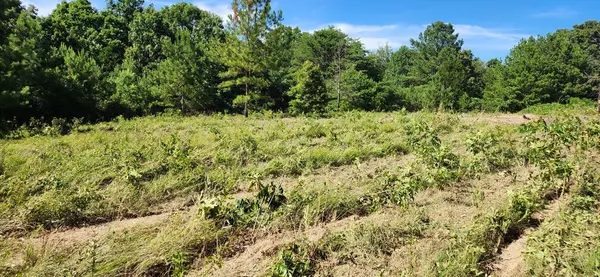 Nunnelly, TN 37137,0 Aaron Lane