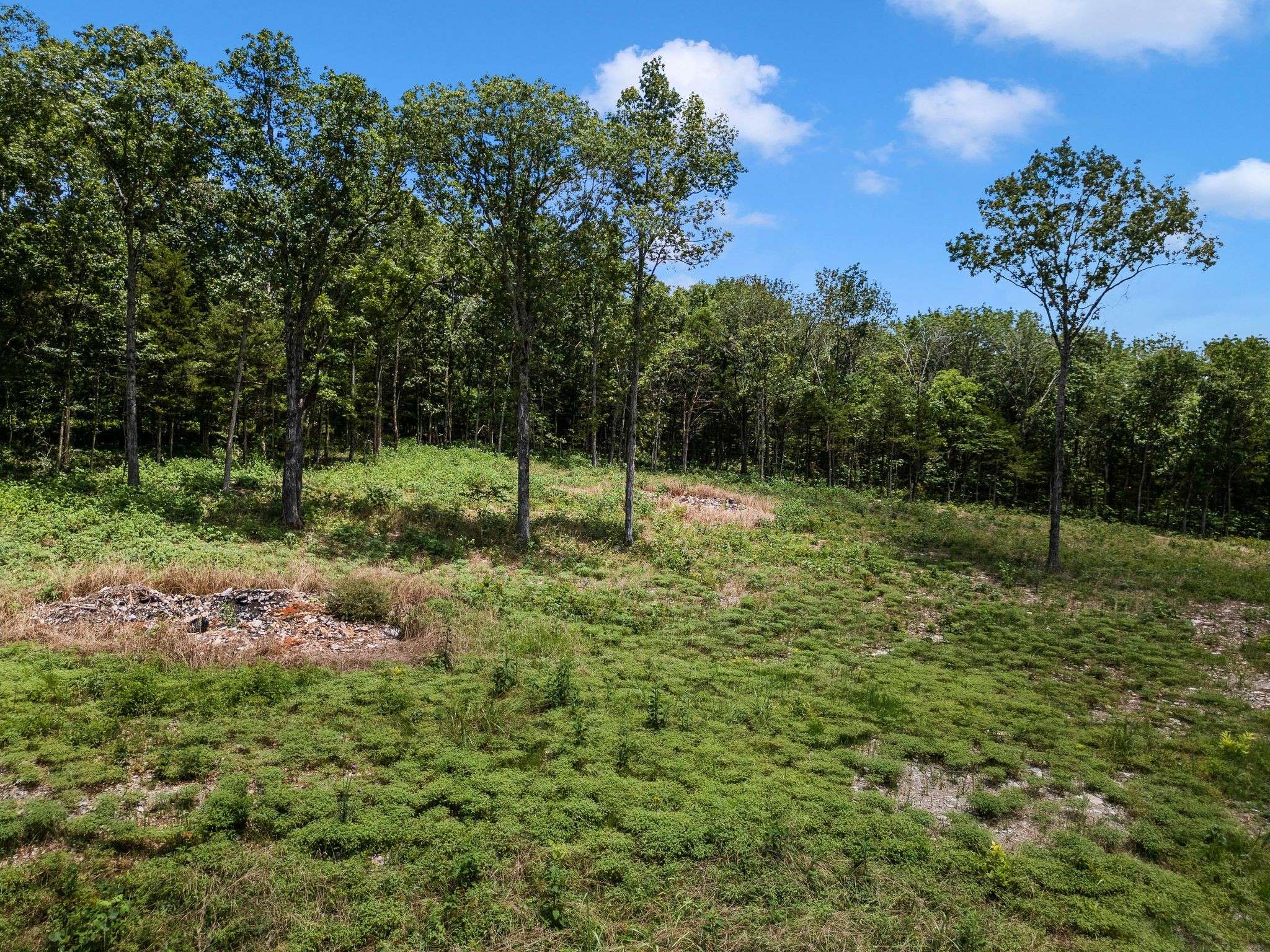Rockvale, TN 37153,0 S Windrow Rd