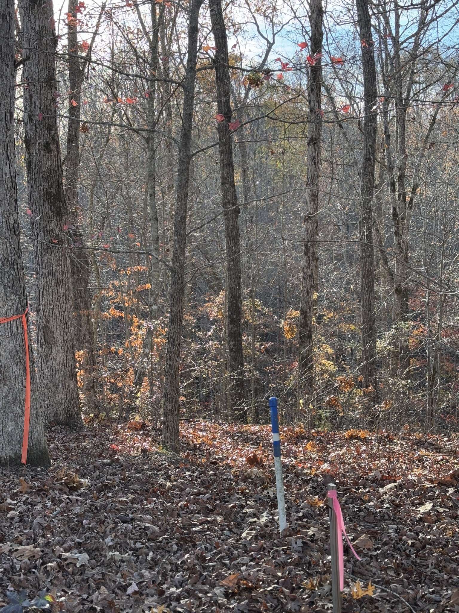 0 Mountain Harbor Trace, Sparta, TN 38583