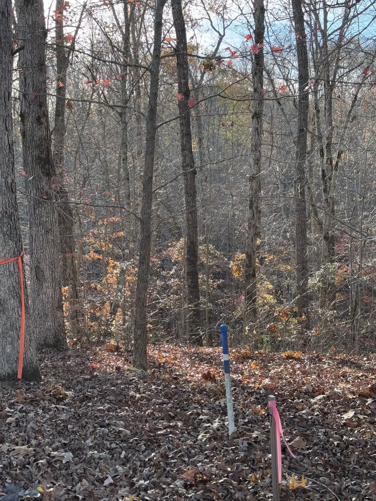 Sparta, TN 38583,0 Mountain Harbor Trace