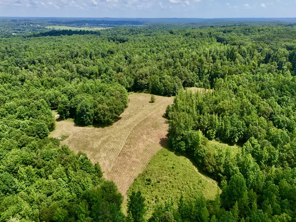 Decaturville, TN 38329,0 Largo Road