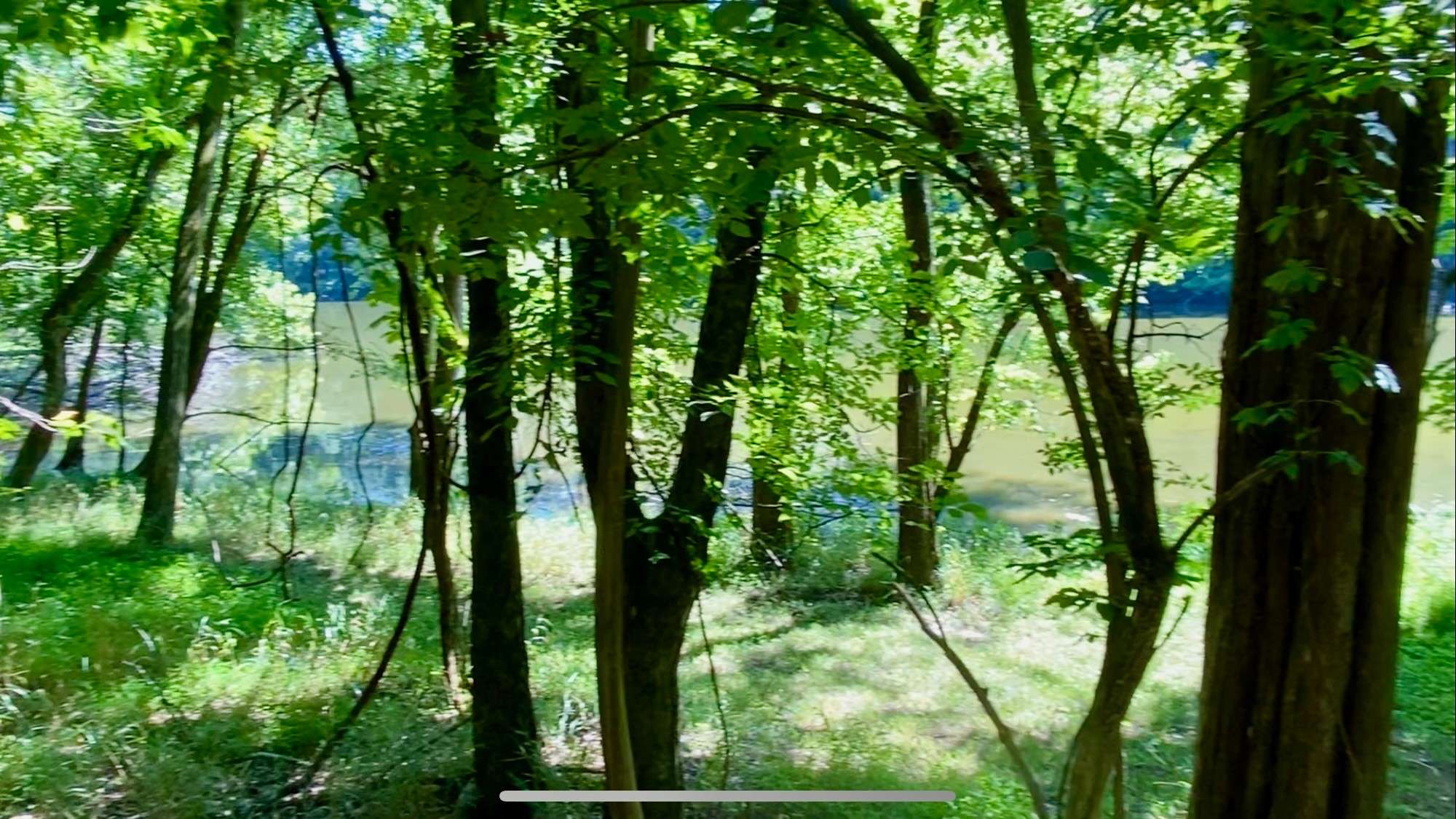 1166 Lake Marie Rd, Gallatin, TN 37066