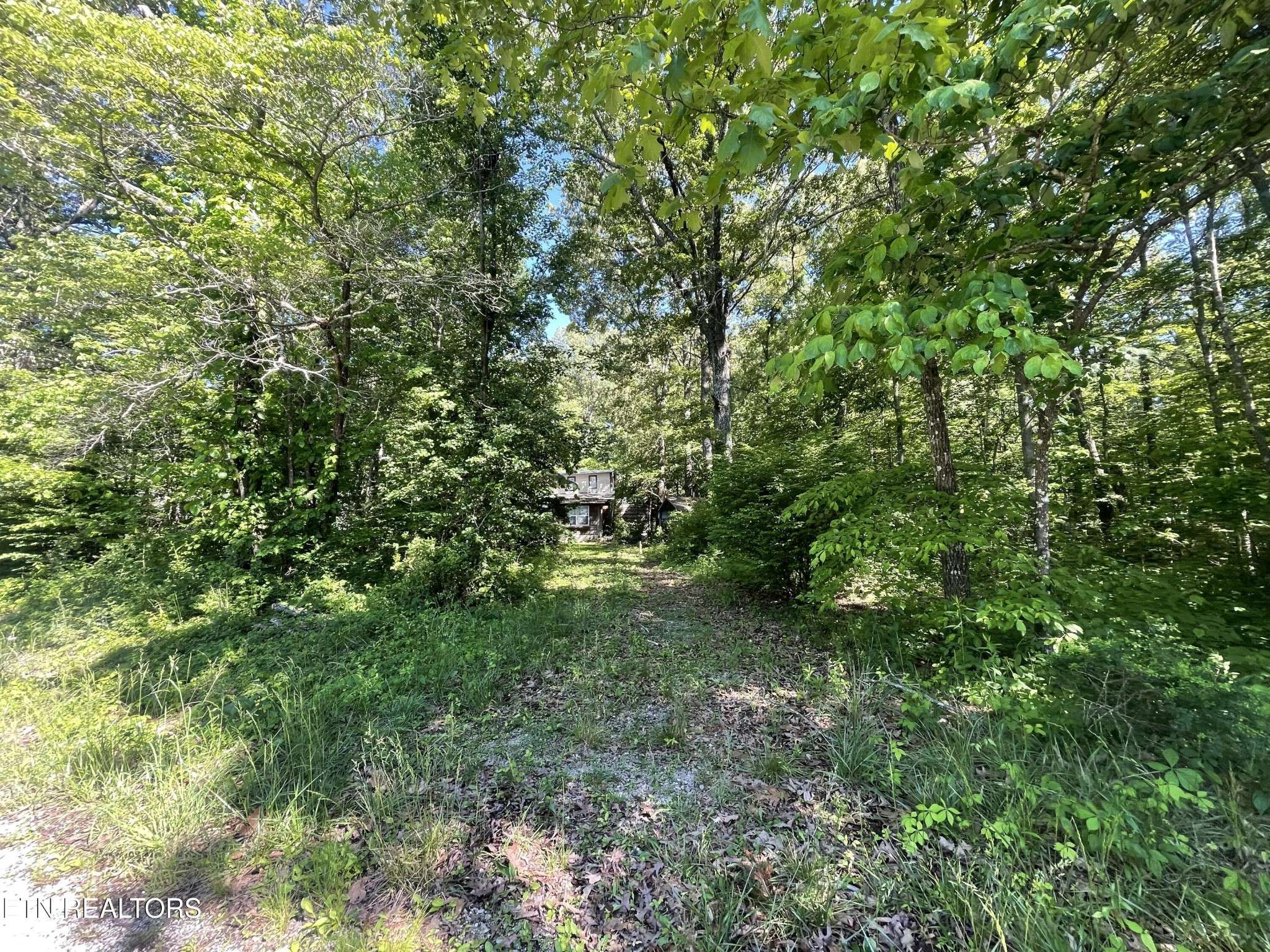 Crossville, TN 38571,242 Fairway St.