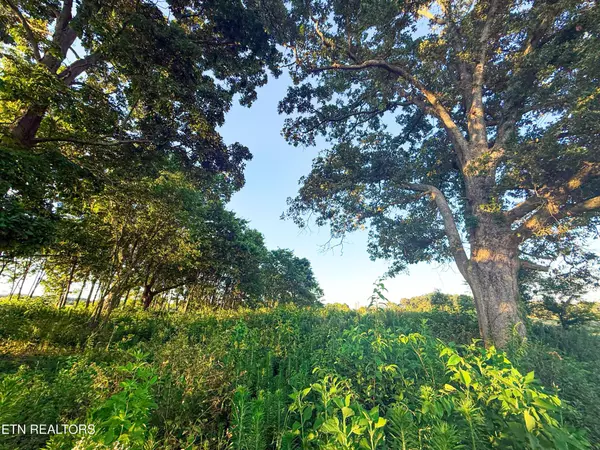 Talbott, TN 37877,0 Lot 19 Summerset Drive