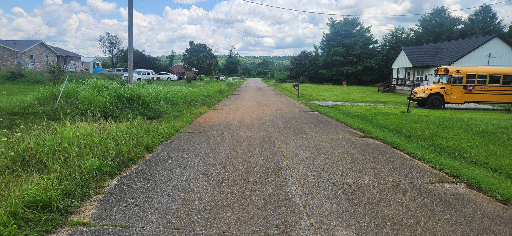 Nunnelly, TN 37137,0 Magnolia Lane