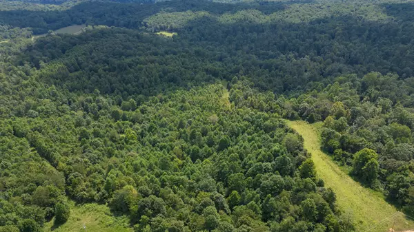 Dover, TN 37058,0 Topside Drive