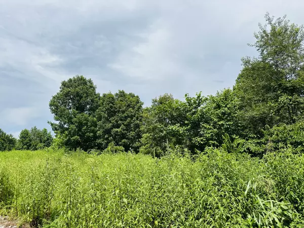 Dover, TN 37058,0 Topside Drive