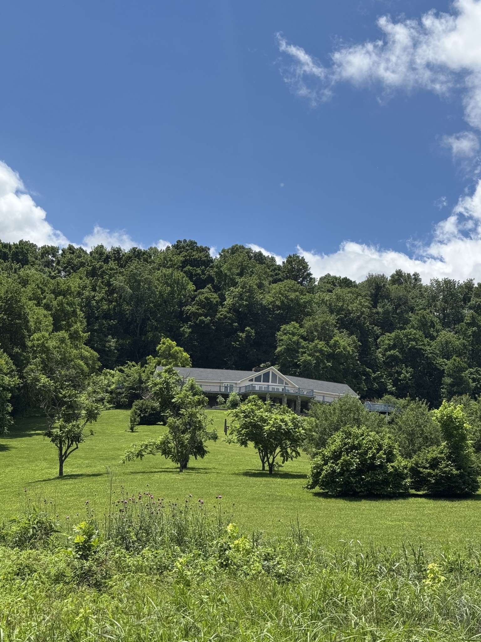 4655 Love Branch Rd, Hampshire, TN 38461