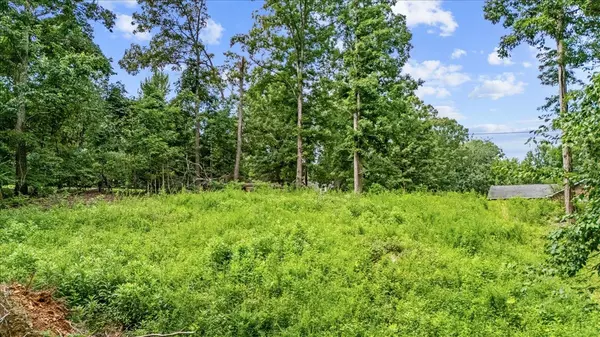 Pegram, TN 37143,0 Old Sams Creek Rd