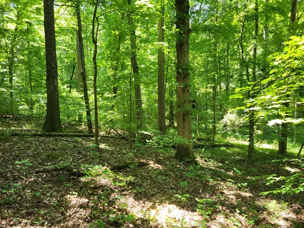 1 Indian Creek Rd, Dover, TN 37058