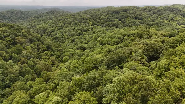 Celina, TN 38551,0 Star Point Rd