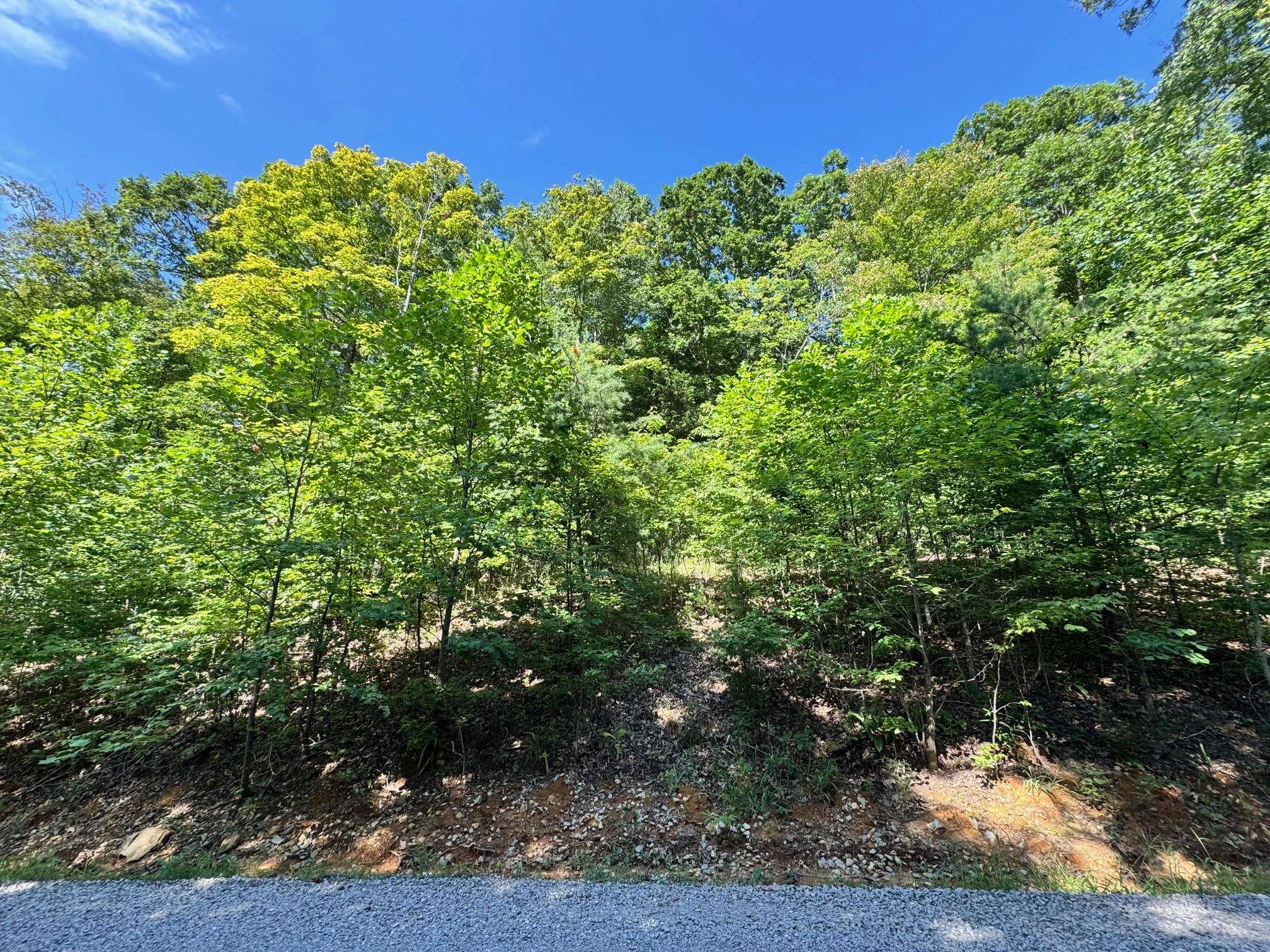Allons, TN 38541,626 N Pointe Trl
