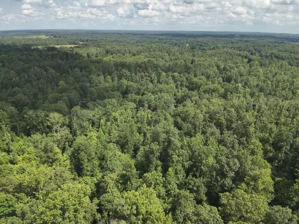Decaturville, TN 38329,1338 New Hope Rd