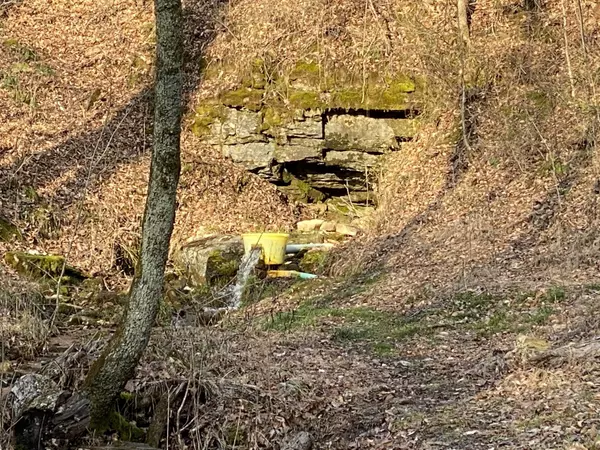 Palmyra, TN 37142,1551 Buck Smith Rd