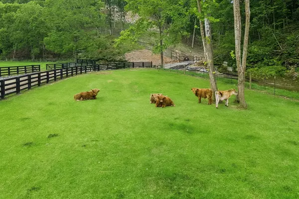 Joelton, TN 37080,1010 Bison Ridge