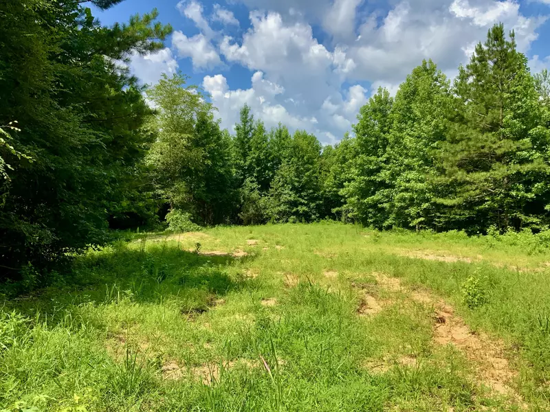 806 Pettijohn Creek Rd, Henry, TN 38231