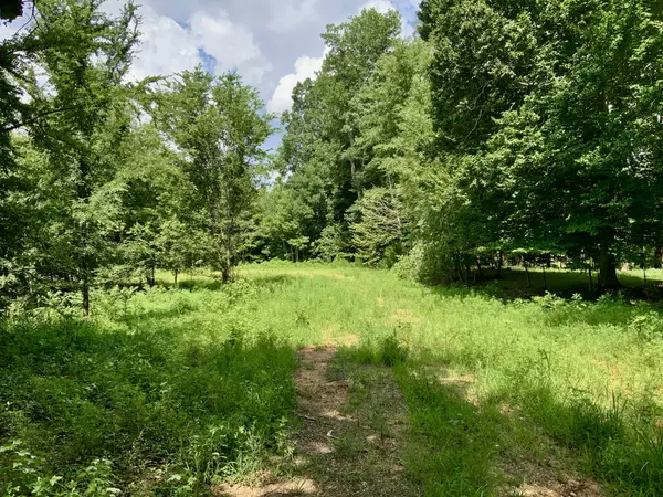 Henry, TN 38231,806 Pettijohn Creek Rd