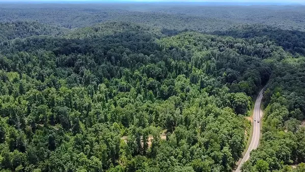 Linden, TN 37096,0 Buckfork Road