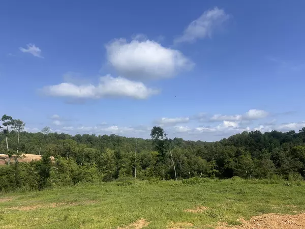 Pulaski, TN 38478,300 Maxwell Hill Rd