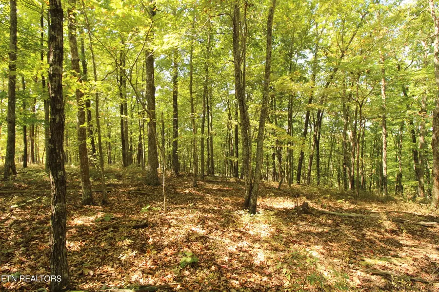 323 Rotherham Drive, Crossville, TN 38558