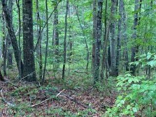 Crossville, TN 38558,18 Golden Ct