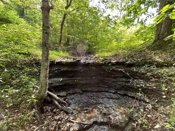 3807 Bear Creek Rd Thompsons Station, TN 37179