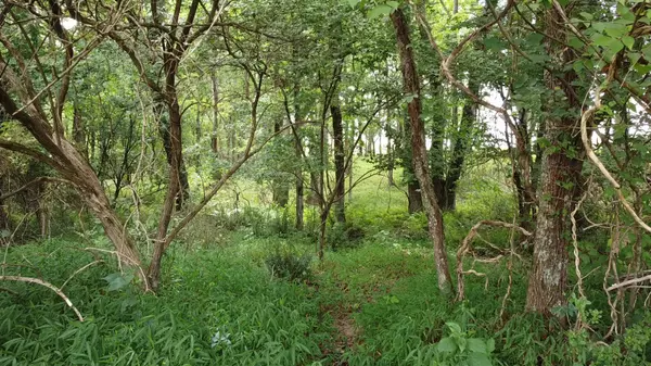 Spencer, TN 38585,0 Bridle Trail