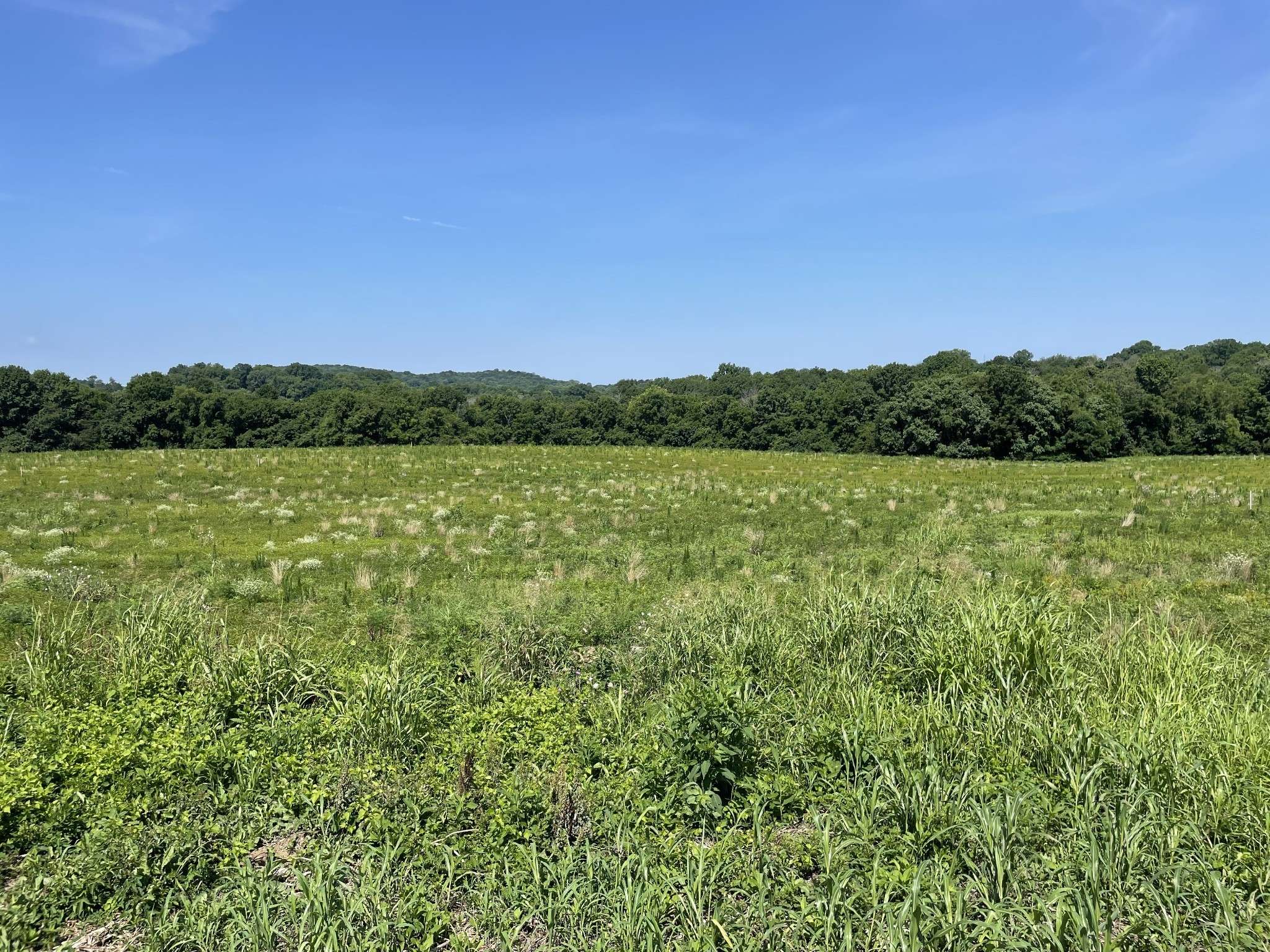 Hartsville, TN 37074,0 Crenshaw Road