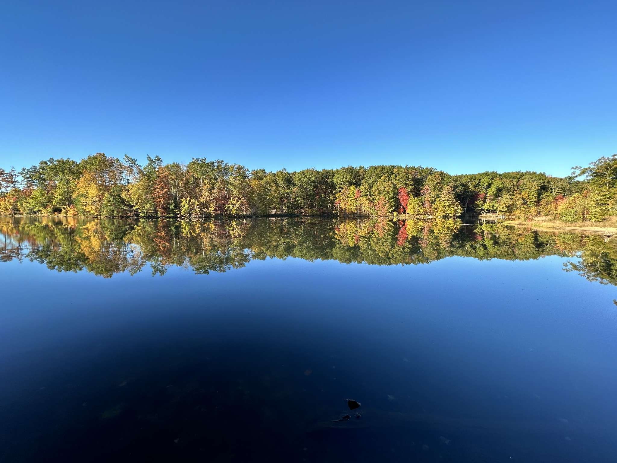 Sewanee, TN 37375,167 Pollywog Run