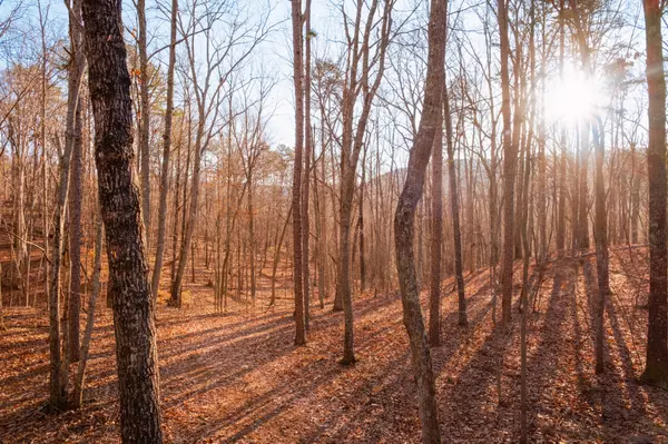 Chickamauga, GA 30707,0 Hog Jowl Road