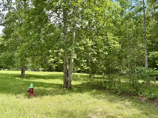 Monteagle, TN 37356,0 Shadow Rock Drive