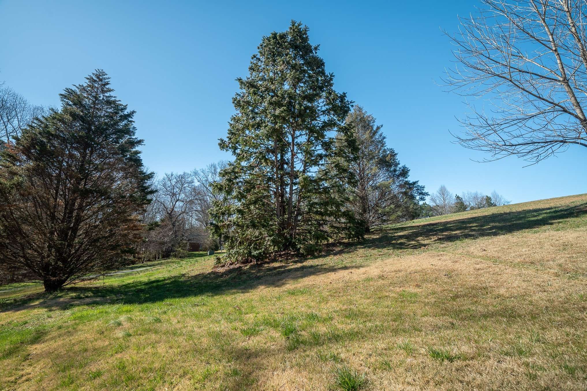 Lawrenceburg, TN 38464,15 Clifton Rd